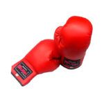 USH GUANTE DE BOX