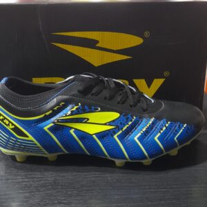 DRAY BOTIN F11 REF 463